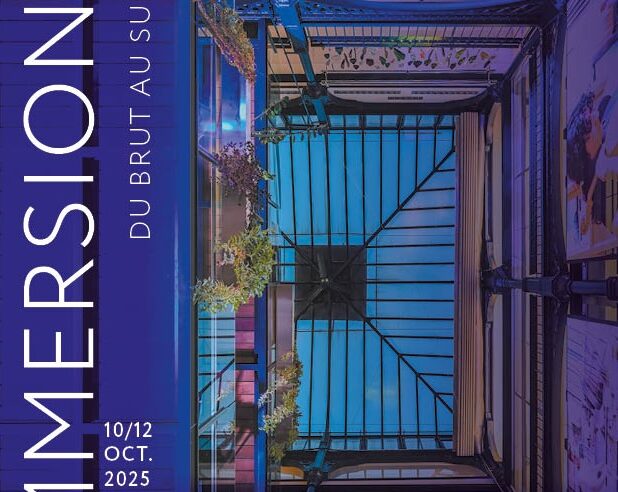 IMMERSION/S : du brut au sublime — l’artisanat d’art à l’état pur