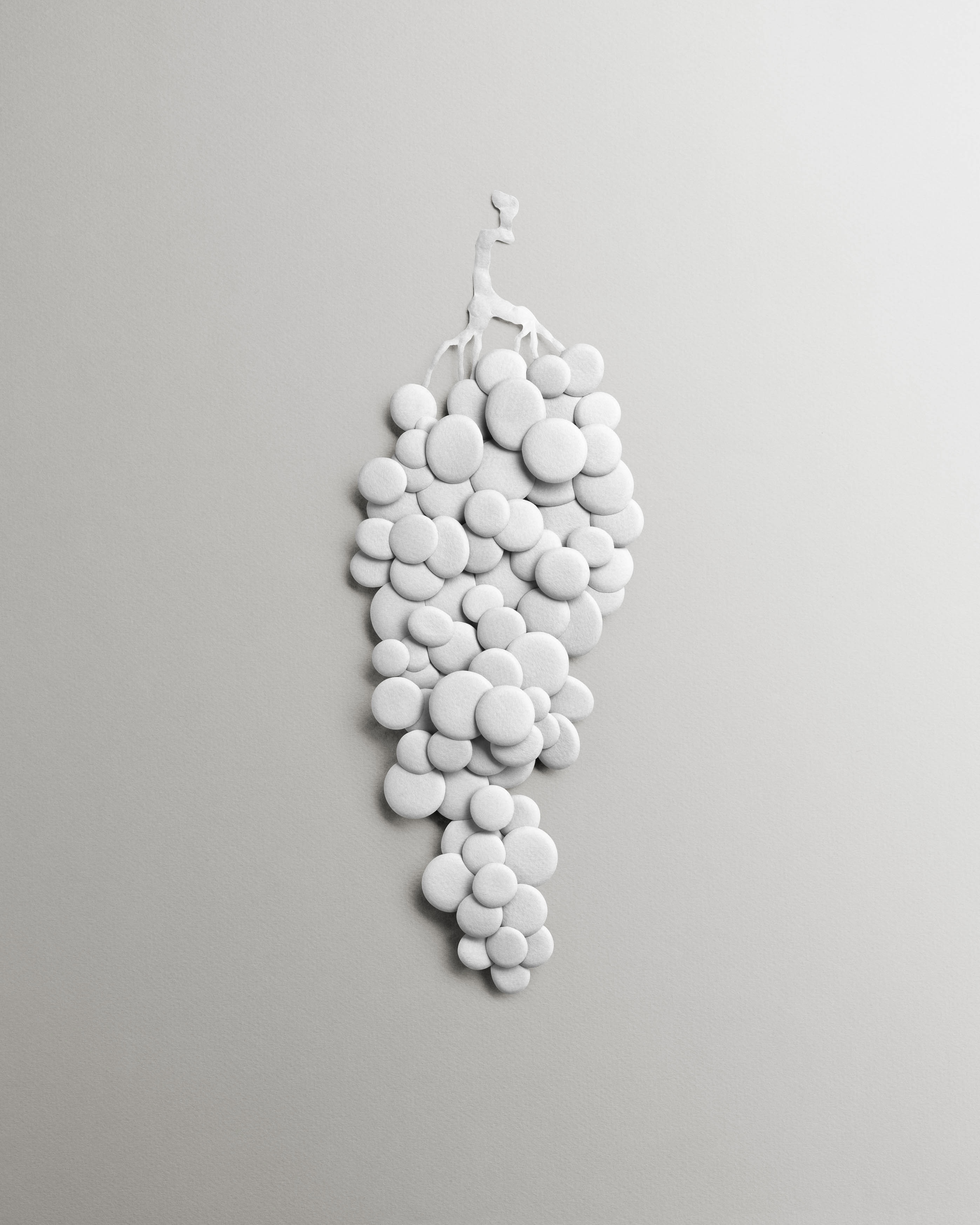Bas-relief en papier " Grappe de raison"