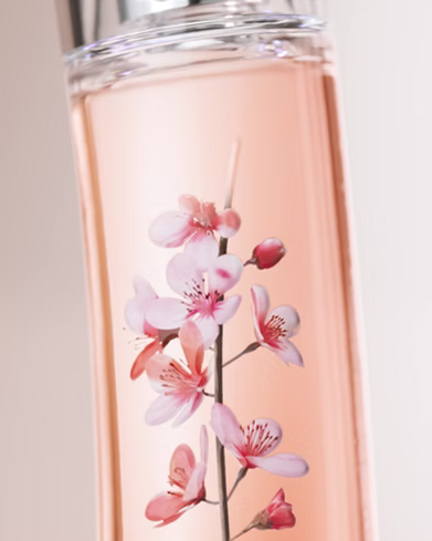 IKEBANA SAKURA - 360 CAMPAIGN