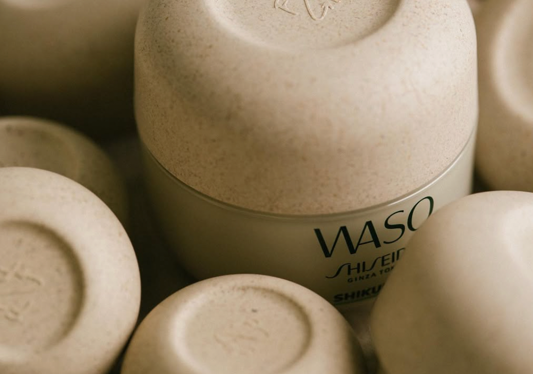 Campagne de Lancement WASO