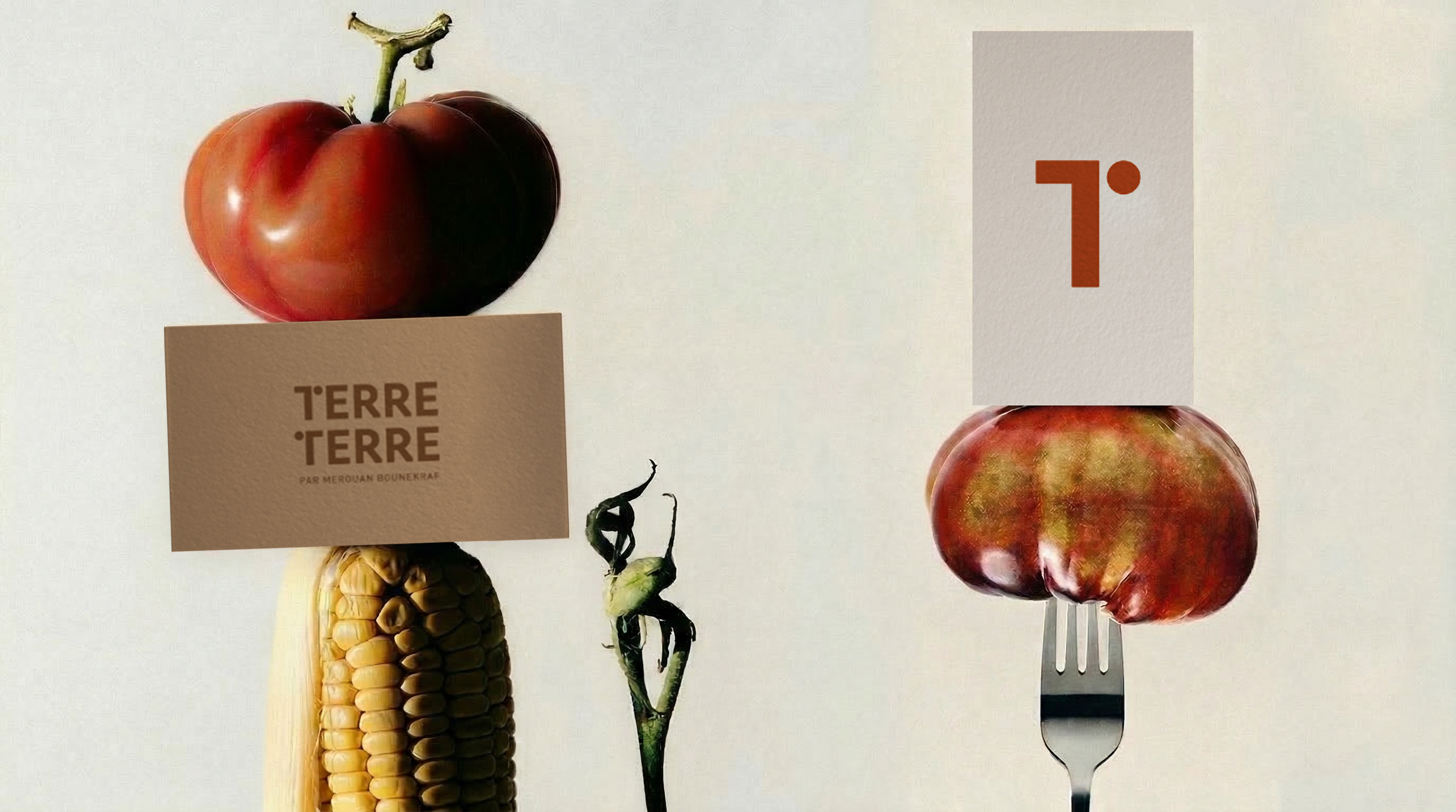 Terre terre